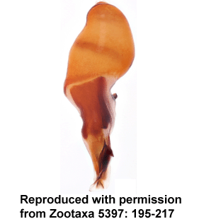speciesimage
