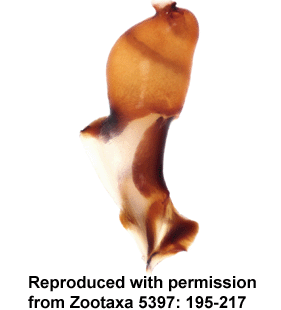 speciesimage