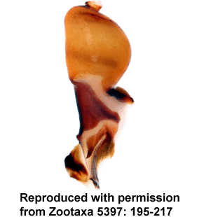 speciesimage