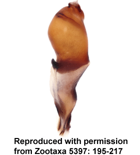 speciesimage