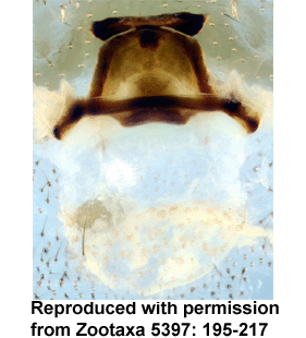 speciesimage