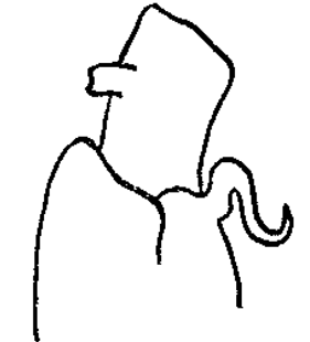 speciesimage