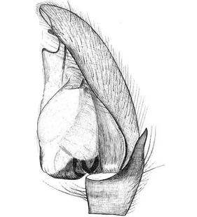 species