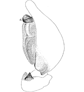 speciesimage
