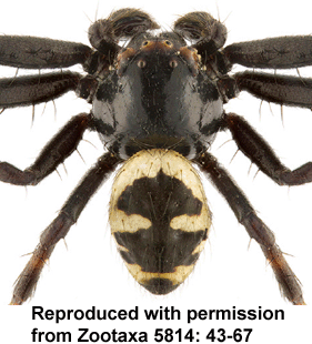 speciesimage