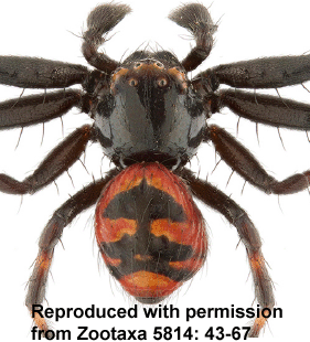 speciesimage