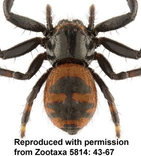 speciesimage
