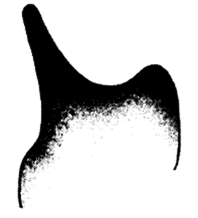 speciesimage