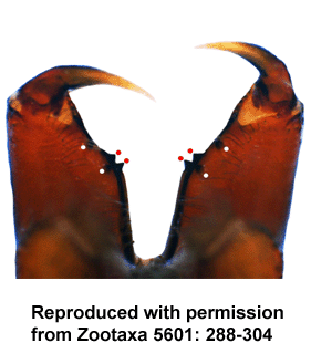 speciesimage