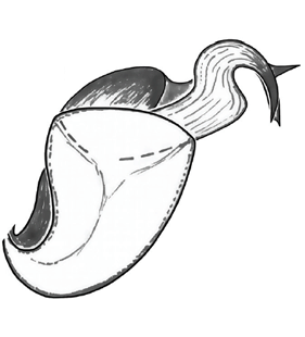 speciesimage
