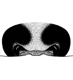 speciesimage