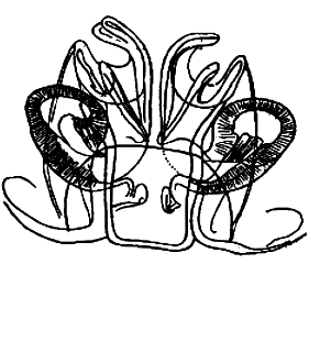 speciesimage