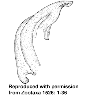 speciesimage
