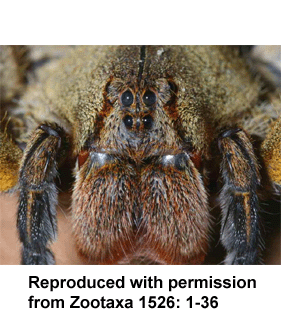 speciesimage