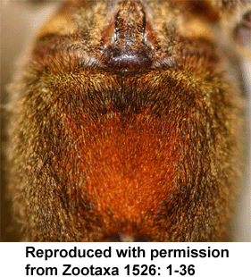speciesimage