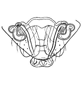 speciesimage