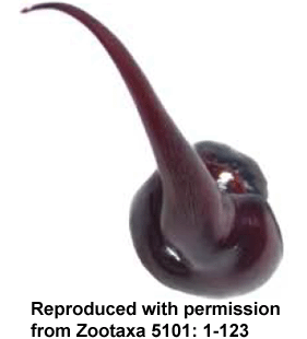 speciesimage