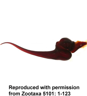speciesimage
