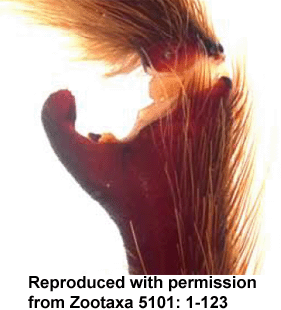 speciesimage