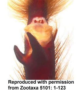 speciesimage