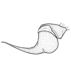 speciesimage