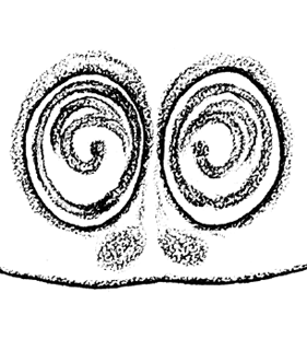 speciesimage