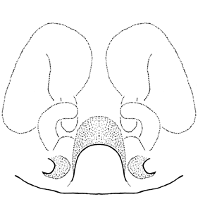 speciesimage