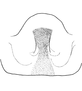 speciesimage
