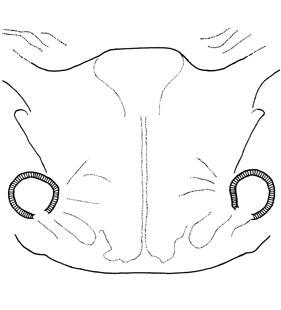 speciesimage
