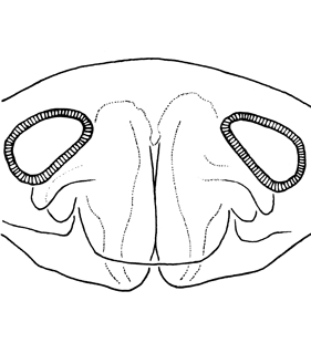speciesimage