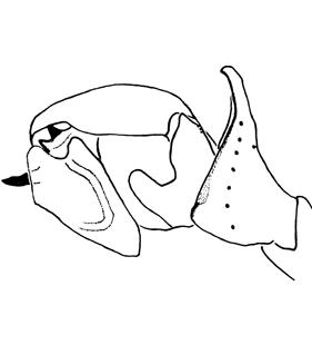 speciesimage