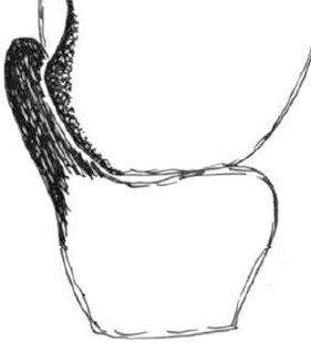speciesimage