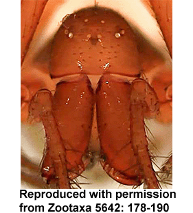 speciesimage