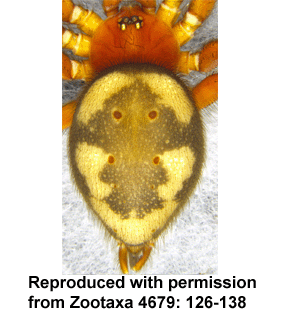 speciesimage