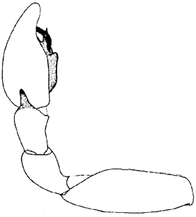 speciesimage