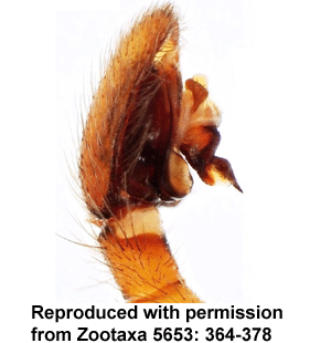 speciesimage