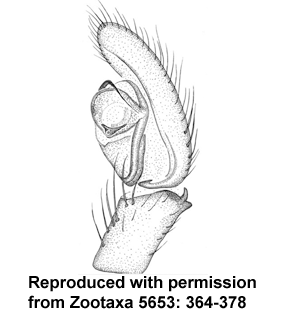 speciesimage