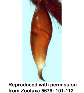 speciesimage