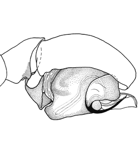 speciesimage