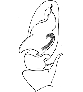 speciesimage