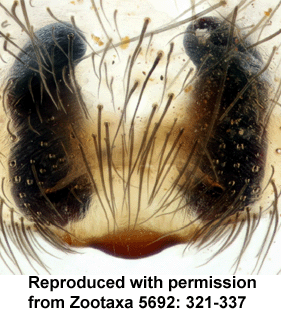 speciesimage