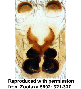 speciesimage