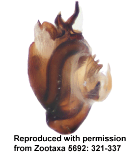 speciesimage