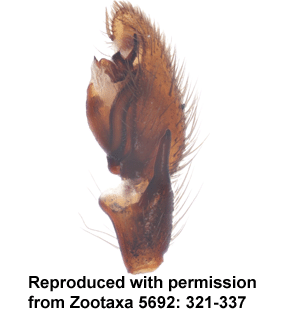 speciesimage