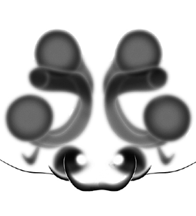 speciesimage