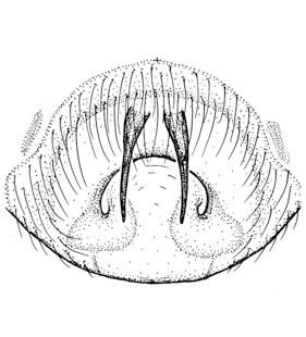 speciesimage