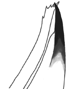 speciesimage