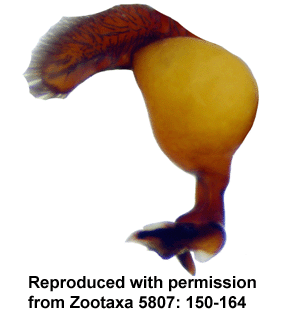 speciesimage