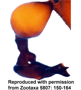 speciesimage