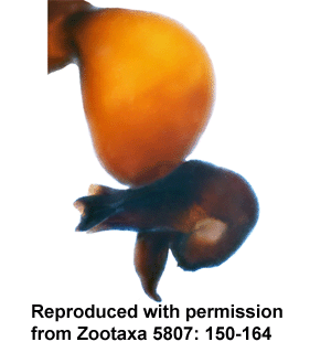 speciesimage